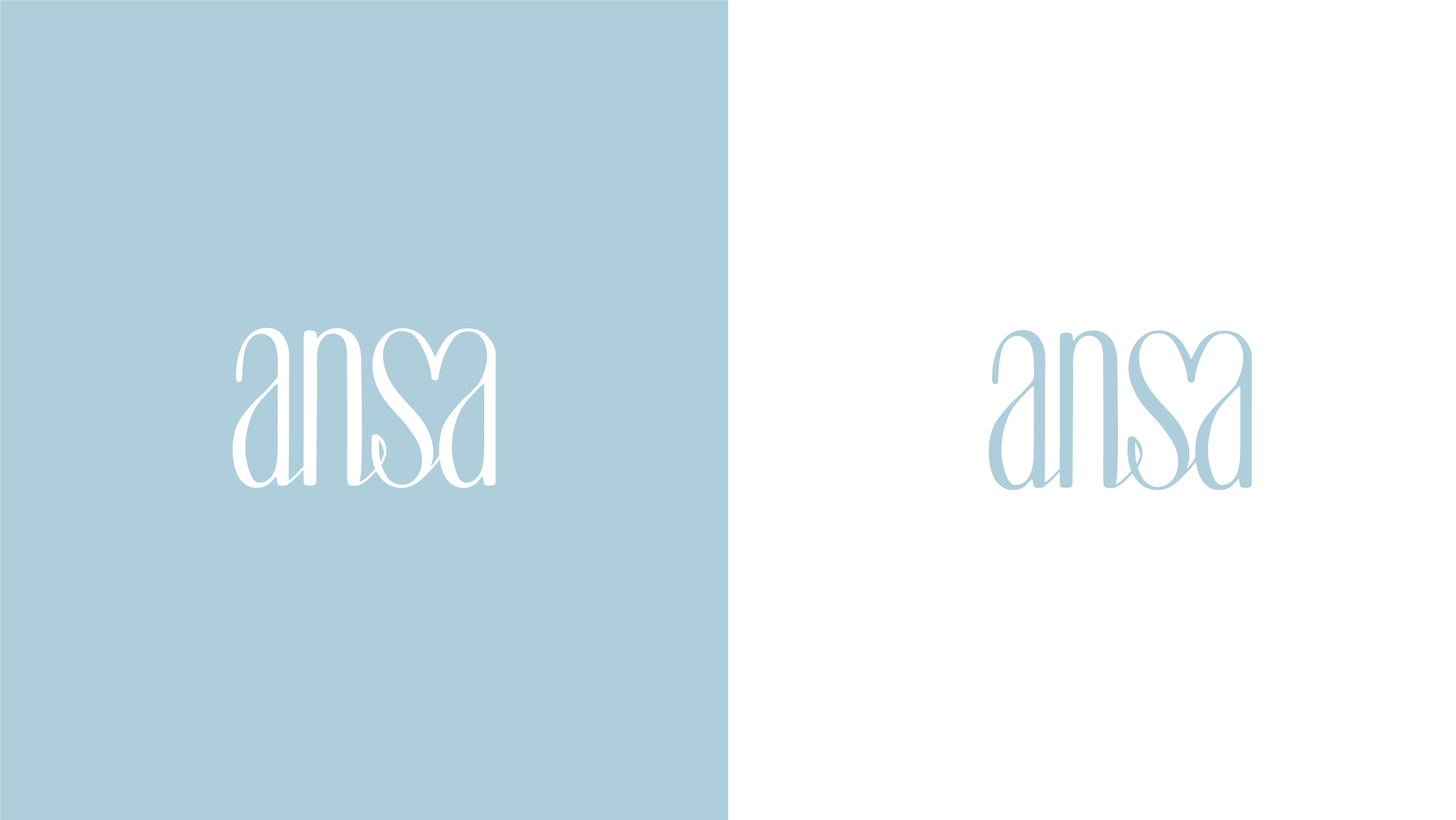 Ansa_File_1